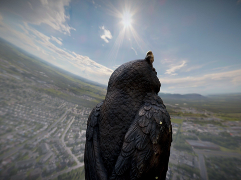  朋友猫头鹰3d模型 