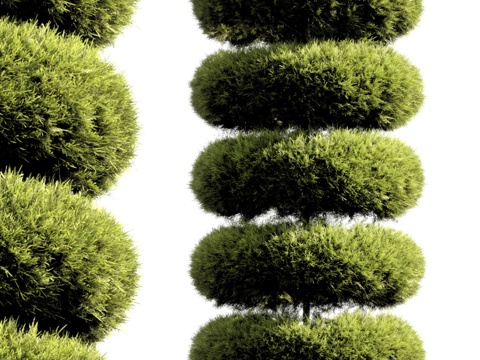  现代植物堆3d模型 