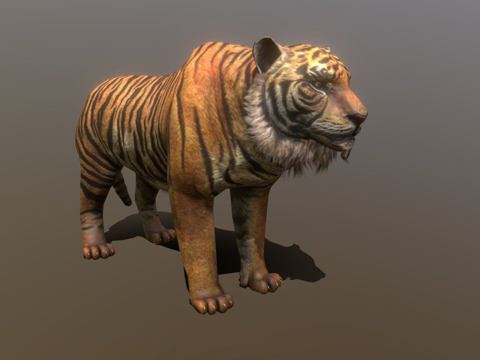  AR用低多边形老虎绑定动画3d模型 