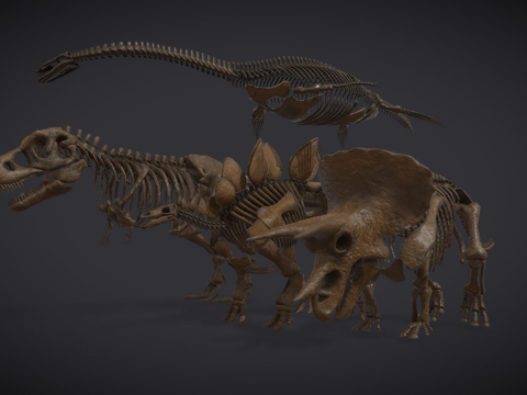  自然历史博物馆恐龙3d模型 