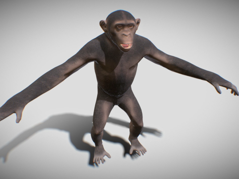  黑猩猩3d模型 