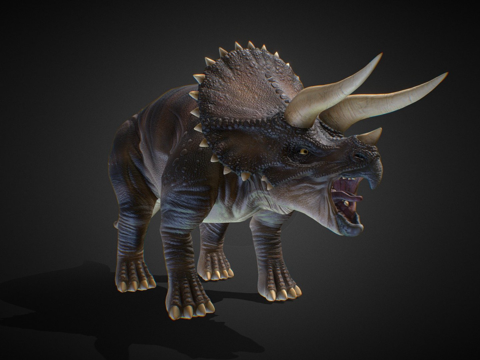  三角龙3d模型 