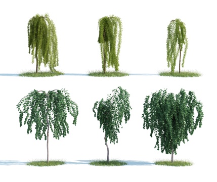  树 大树 高树 灌木 园林灌木 园林植物 人工植被 景观3d模型 