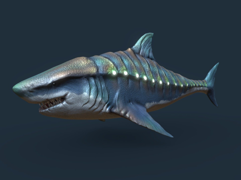  变异鲨鱼3d模型 