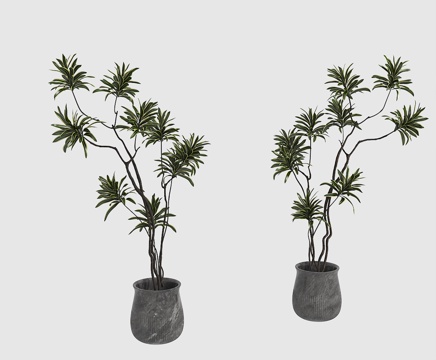 宋式 复古植物3d模型