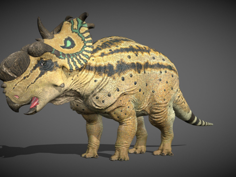  厚鼻龙拉库斯塔种3d模型 