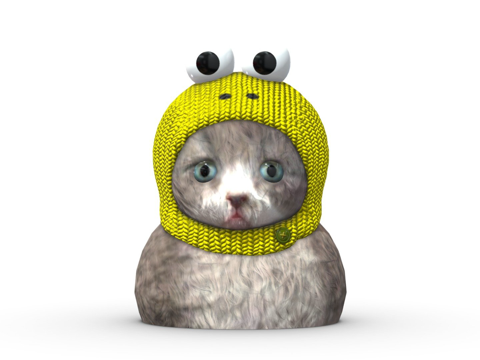  戴帽子的猫3d模型 