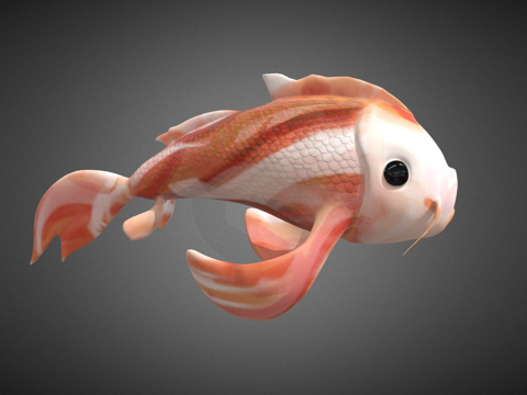  锦鲤橙色鱼3d模型 
