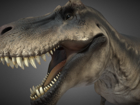  霸王龙苏3d模型 