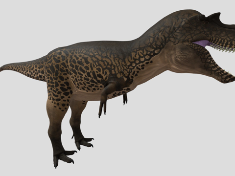  蛇发女怪龙3d模型 