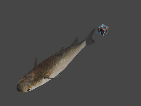  CC0大鳞鲻鱼3d模型 