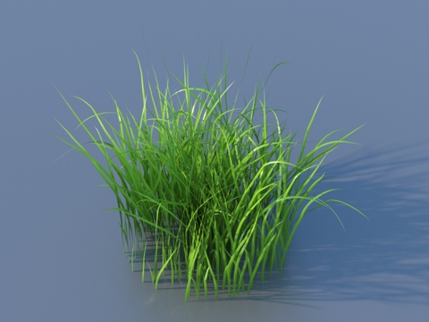  草 野草 杂草 青草 花草 观赏植物3d模型 