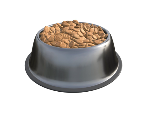  狗食盆带食物3d模型 