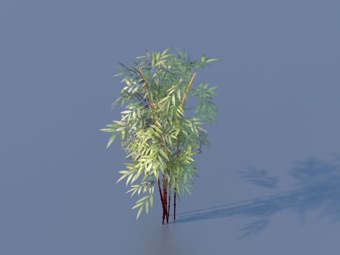  竹子 植物3d模型 