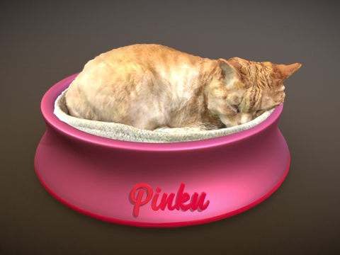  睡猫3d模型 