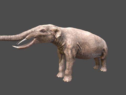  铲齿象3d模型 
