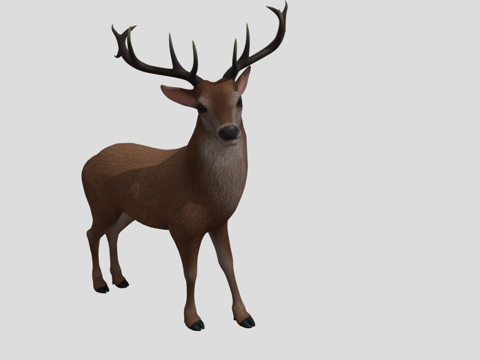  驯鹿3d模型 