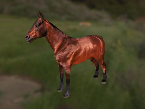  马CG3d模型 
