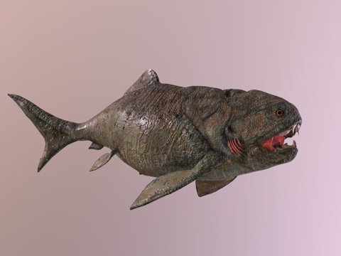  邓氏鱼游泳3d模型 