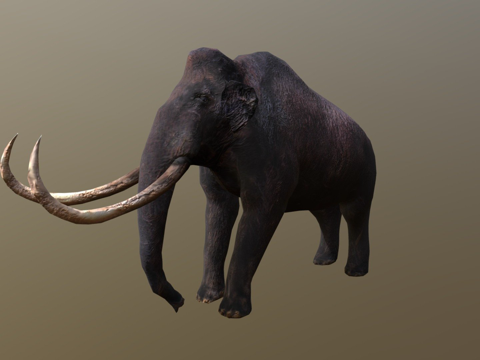  猛犸象3d模型 