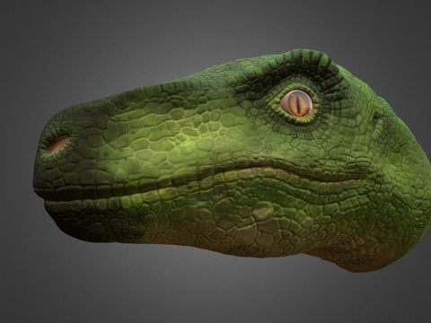  迅猛龙头部3d模型 