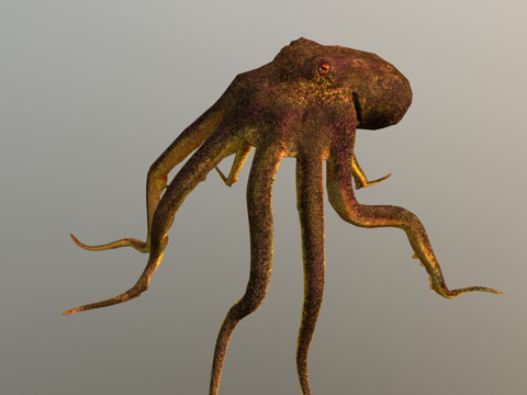  章鱼3d模型 