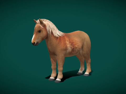  小马低多边形3d模型 