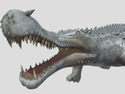  帝鳄3d模型 