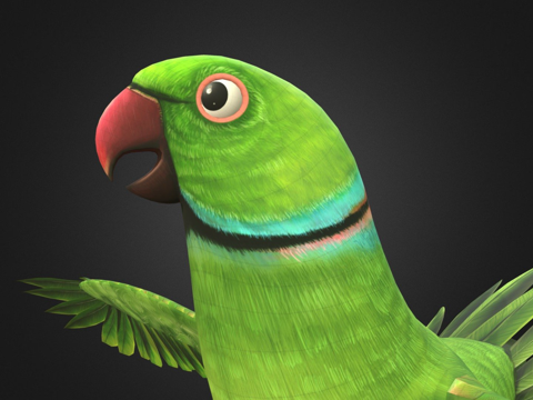  鹦鹉3d模型 