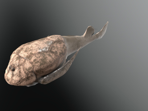  加拿大沟鳞鱼3d模型 