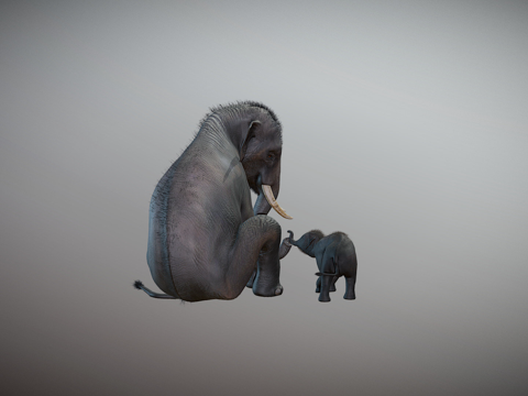  印度象3d模型 