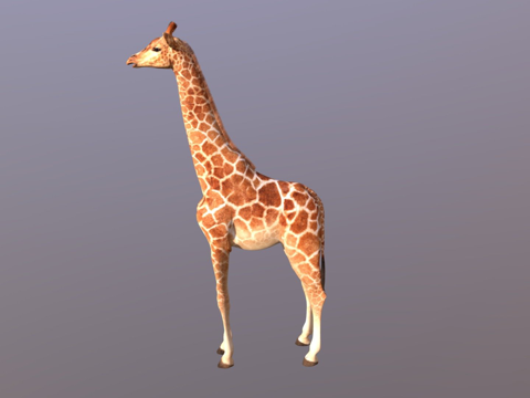  闪亮长颈鹿3d模型 