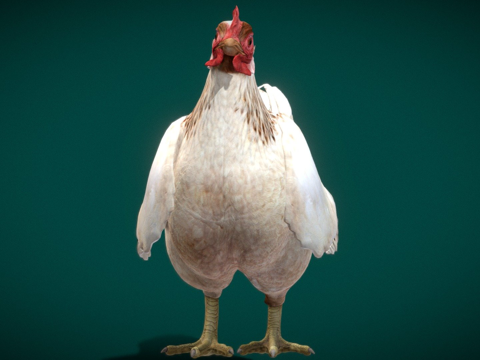  母鸡小鸡游戏就绪3d模型 