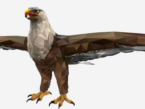  低多边形艺术秃鹰鸟3d模型 
