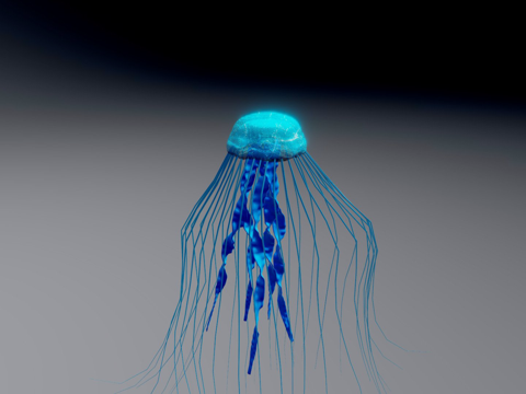  水母3d模型 