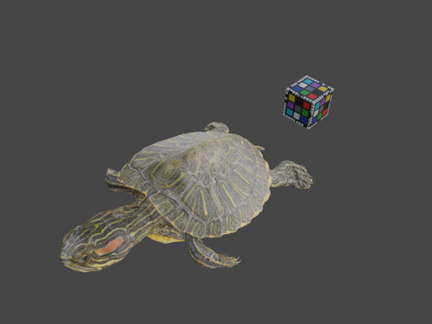  CC0密西西比红耳龟红耳滑龟3d模型 