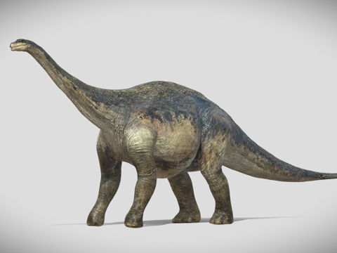  阿根廷龙绑定3d模型 