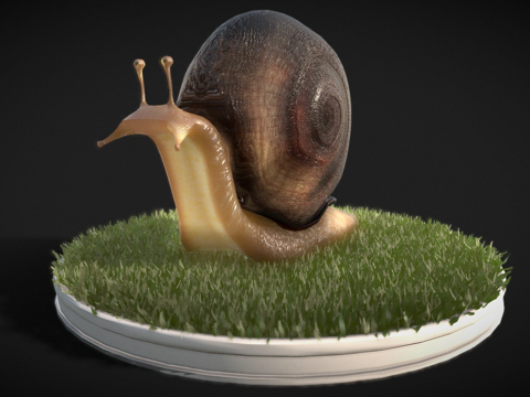 蜗牛3d模型 