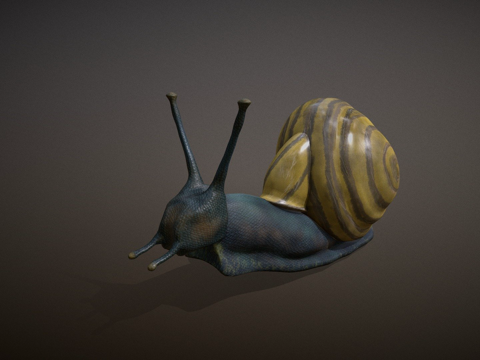  蜗牛3d模型 