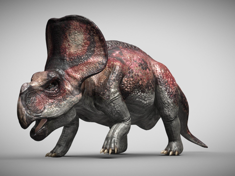  原角龙绑定3d模型 