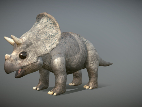  三角龙身体绑定3d模型 