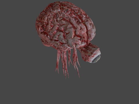  有意识眼球写实3d模型 