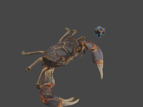  CC0 滨蟹泥滩蟹凸壳蟹3d模型 