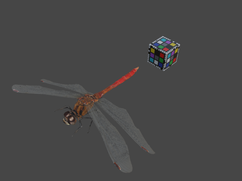  CC0眉赤蜻足尖蜻蜓3d模型 