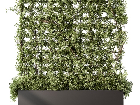  藤架与绿植系列23d模型 