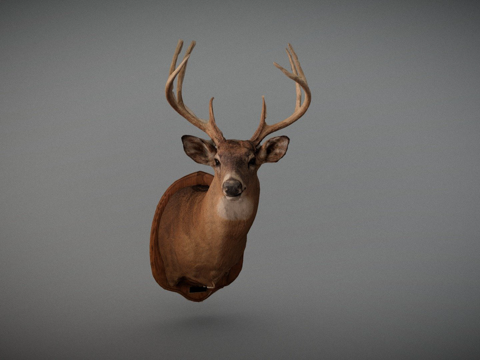  鹿头3d模型 