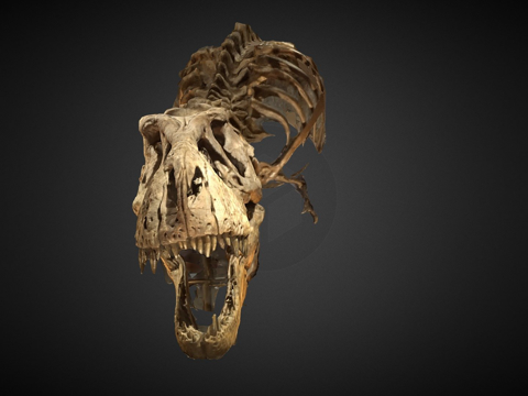  崔克斯霸王龙3d模型 