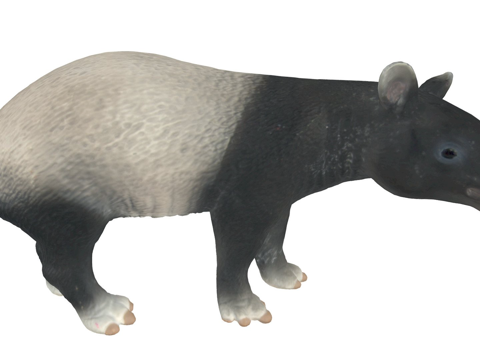  塑料玩具貘3d模型 