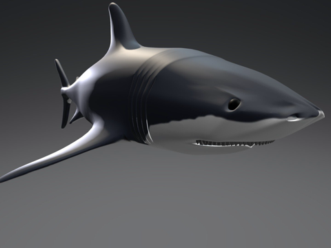 鲨鱼3d模型 