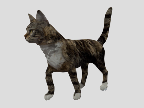  猫向前行走动画3d模型 